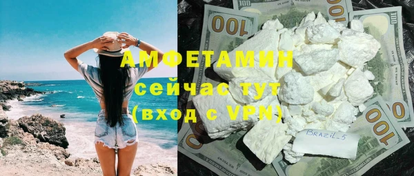 индика Белокуриха