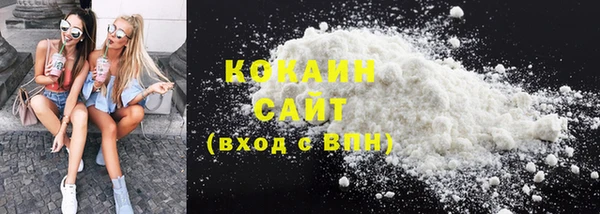 индика Белокуриха