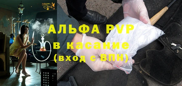 индика Белокуриха