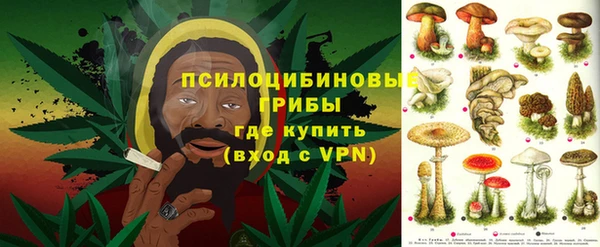 ешки Богородск