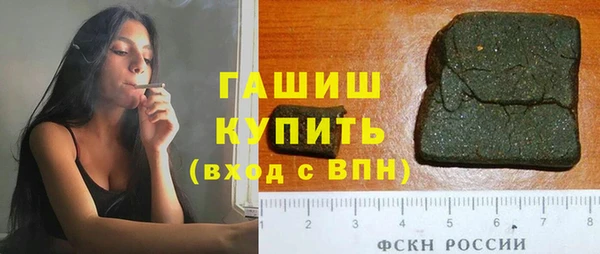 индика Белокуриха