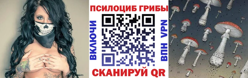 Купить где  Суздаль  Псилоцибиновые грибы Psilocybine cubensis 