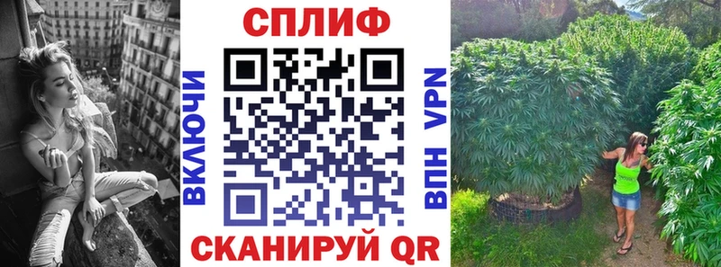 Каннабис тримм Купить где Суздаль
